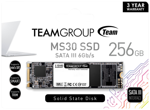 SSD 256GB TEAM GROUP MS30 M.2 2280 SATA 6Gb/s
